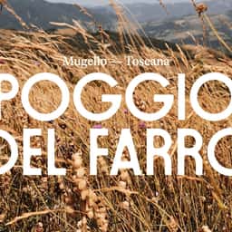Brand Identity and Packaging for an Italian Emmer Producer - thumbnail 1
