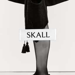 Brand Identity and E-Commerce for Skall Studio - thumbnail 1