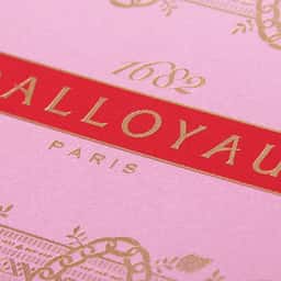 Packaging Design for Dalloyau - thumbnail 1