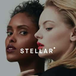 Brand Identity and Packaging for Stellar Makeup - thumbnail 1