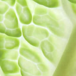 Brand Identity for a Horticultural Innovation Hub - thumbnail 1