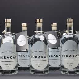 Visual Identity for Borakay Spirits - thumbnail 1