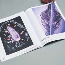 Art Direction for a Bigger Park Magazine - thumbnail 1