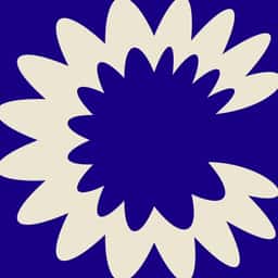 Campaign and Digital Series for Clear Sky - thumbnail 1