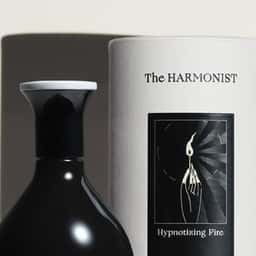 Brand Identity for the Harmonist - thumbnail 1