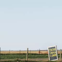 Annual Report Design for Alberta Cancer Foundation - thumbnail 1