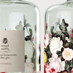Packaging for Tread Softly Gin - thumbnail 1