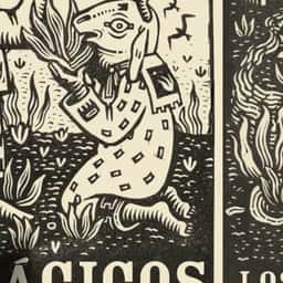Brand Identity for Los Dias Mágicos Tequila - thumbnail 1