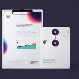 Brand Identity and Website for Consumer Insights Lab - thumbnail 1