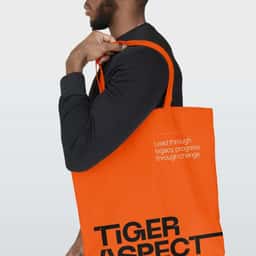 Brand Identity and Website for Tiger Aspect - thumbnail 1