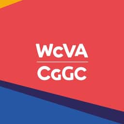 Brand Identity and Website for WCVA - thumbnail 1