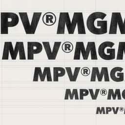 Brand Identity for MPV MGMT - thumbnail 1