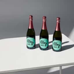 Brand Identity for Chardonnale Italian Grape Ale - thumbnail 1