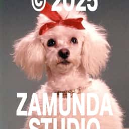Brand Identity for Zamunda Audiovisual Studio - thumbnail 1