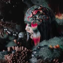 Experimental Film and Live Show Visuals for Bjork's Fossora - thumbnail 1