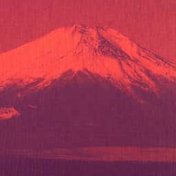 Editorial Design for Fuji Photography Book - thumbnail 1