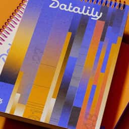 Rebrand for Research-Driven Content Marketing Studio Datalily - thumbnail 1
