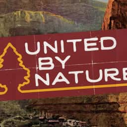 Brand Identity and Website for United by Nature - thumbnail 1