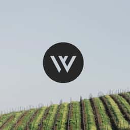 Brand Identity for Weinfreunde Wine Marketplace - thumbnail 1