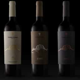 Packaging for Dominio Fournier Wines - thumbnail 1