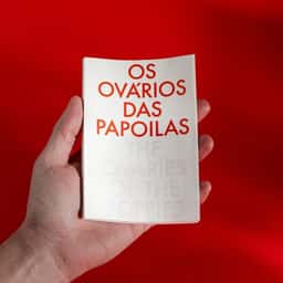 Exhibition Design for the Ovaries of the Poppies - thumbnail 1
