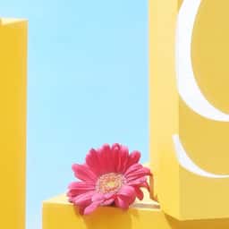 Brand identity and e-commerce experience for a floral fashion label  - thumbnail 1