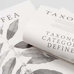 Poster Design for Square One Coffee Taxonomy - thumbnail 1