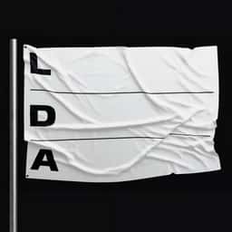 Adaptive Identity for Lithuanian Design Association - thumbnail 1