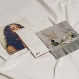 Album Art Direction for Solange's a Seat at the Table - thumbnail 1