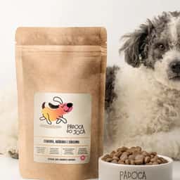 Visual Identity for an Artisanal Dog Treat Company - thumbnail 1
