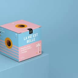 Packaging Design for Lapp & Fao - thumbnail 1