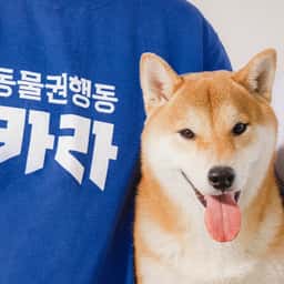Brand Identity for Korea Animal Rights Advocates - thumbnail 1
