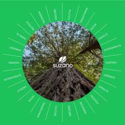 Brand Identity for Suzano - thumbnail 1