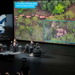 Visual Identity for Studio Bonn’s Global Nerve Systems Talks - thumbnail 1