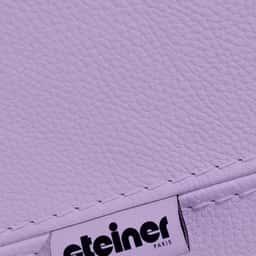 Logo Design for Steiner - thumbnail 1