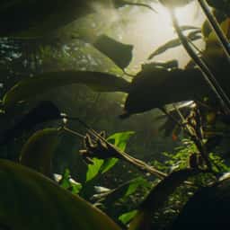 Advertising Campaign for Royal Botanic Gardens Kew - thumbnail 1