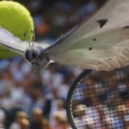 Advertising Campaign for the Championships, Wimbledon - thumbnail 1