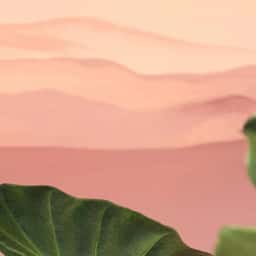 Untitled Case - thumbnail 1