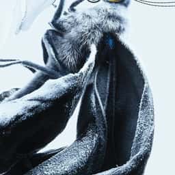 Motion Design for a Butterfly Research Project - thumbnail 1