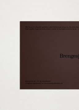 Brand Identity for Boutique Law Firm Brengesjö Metz - thumbnail 6