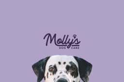 Brand Identity and Experience Design for Molly's Dog Care - thumbnail 2