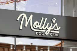 Brand Identity and Experience Design for Molly's Dog Care - thumbnail 5