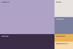 Brand Identity and Experience Design for Molly's Dog Care - thumbnail 6