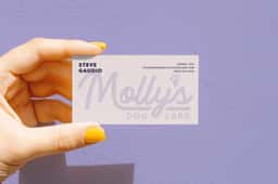 Brand Identity and Experience Design for Molly's Dog Care - thumbnail 8