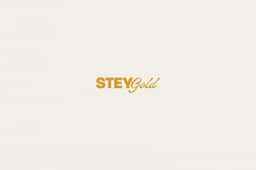 Brand Identity for Stey Gold Luxury Nail Brand - thumbnail 2