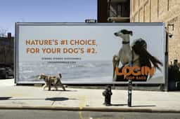 Brand strategy and voice for Login Poop Bags - thumbnail 4