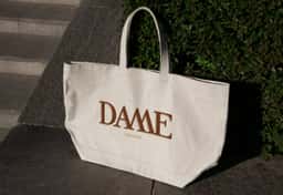 Concept brand identity and naming for Dame Miami - thumbnail 4
