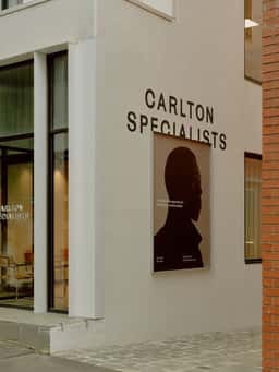 Brand Identity and Website for Carlton Specialists - thumbnail 9