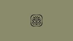 Brand Identity and Packaging for Idyll Organic Tea - thumbnail 6