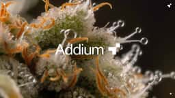 Brand Identity for Agri-Tech Innovator Addium - thumbnail 2